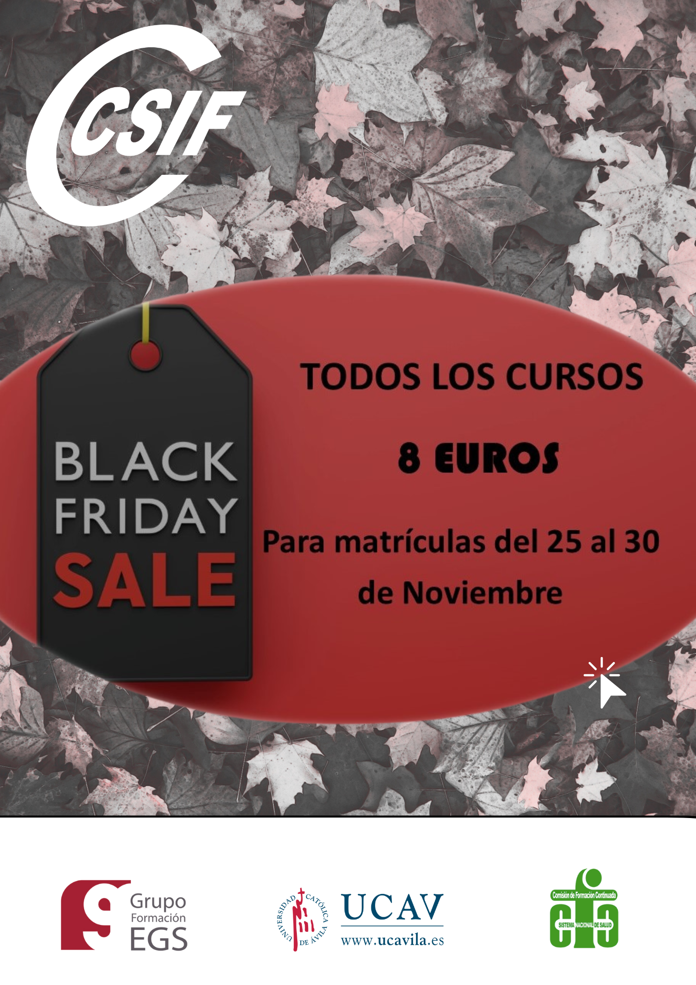 Formacion_black friday_oferta 8 euros